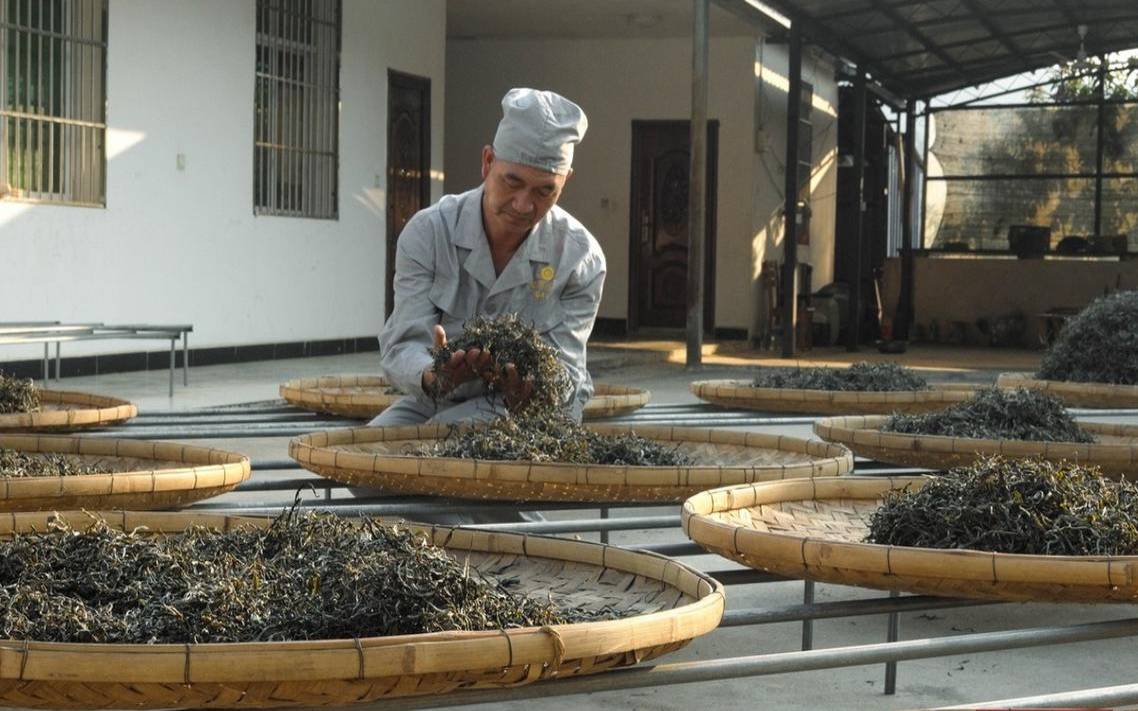 北京七彩云南庆沣祥茶庄,普洱茶庆丰祥价格表
