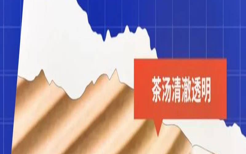 茶叶过滤器怎么用,自制茶水过滤器制作方法