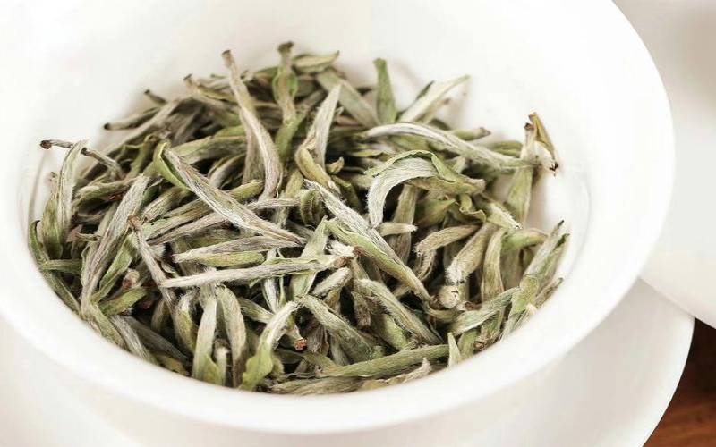茶叶放冰箱保存好不好,白茶需要放冰箱保存吗 茶叶放冰箱保存好不好,白茶需要放冰箱保存吗
