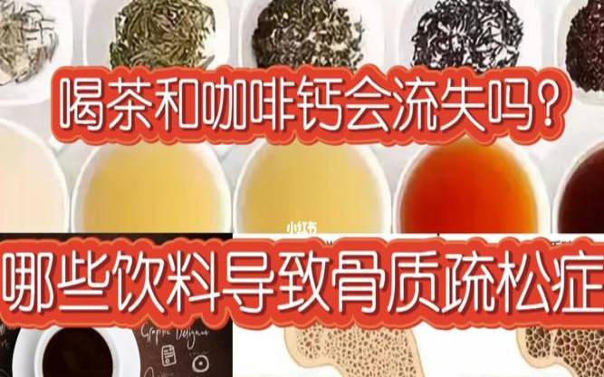 喝普洱茶会引起缺钙吗,为什么会骨质疏松 喝普洱茶会引起缺钙吗,为什么会骨质疏松