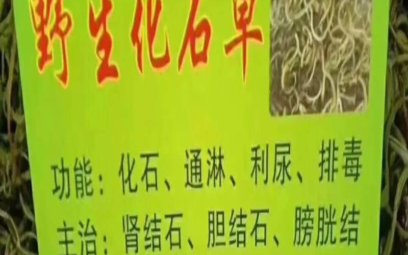 普洱茶对肾结石管用吗,肾结石喝什么茶