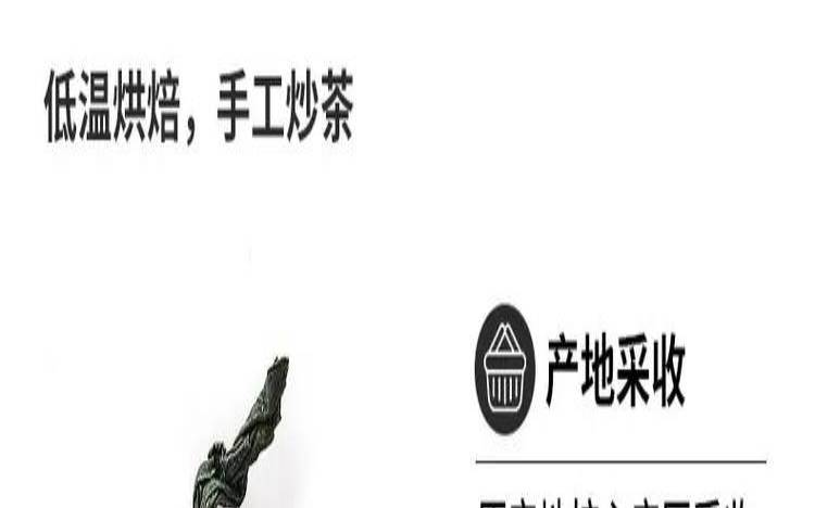 绞股蓝茶的功效与作用,绞股蓝茶功能主治 绞股蓝茶的功效与作用,绞股蓝茶功能主治