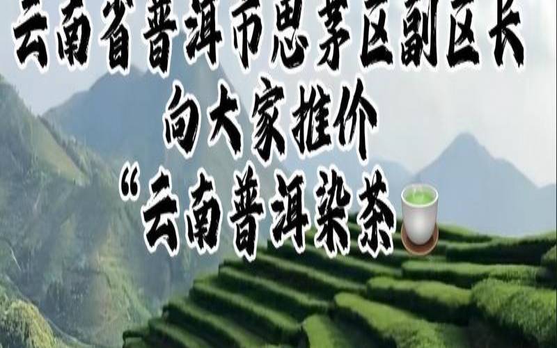 云南七子普洱生茶,普洱生茶和熟茶怎么喝