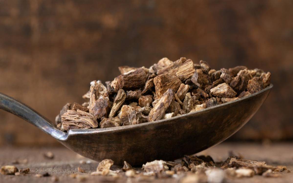 各类茶叶的功效与作用大全,牛蒡茶的功效与作用 各类茶叶的功效与作用大全,牛蒡茶的功效与作用