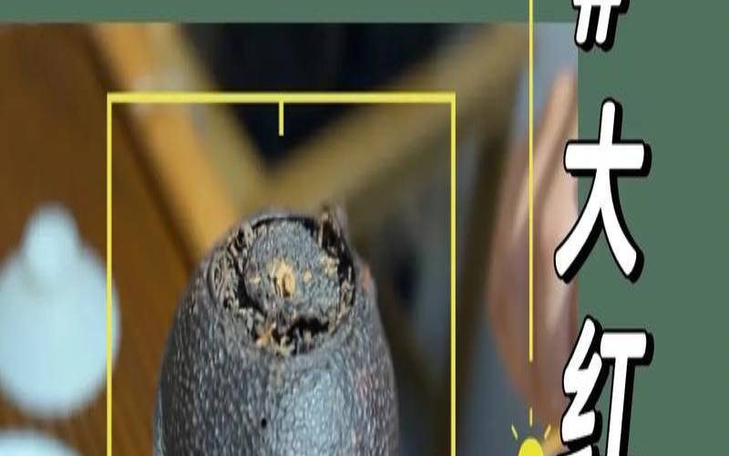 大红柑陈皮普洱茶价格,陈皮普洱茶怎么泡