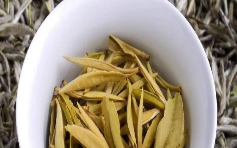 白牡丹茶叶怎么保存,白牡丹能放几年 白牡丹茶叶怎么保存,白牡丹能放几年