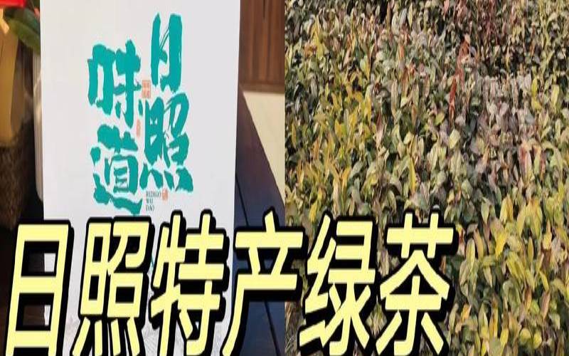 日照本地人去哪里买茶叶,日照绿茶好吗 日照本地人去哪里买茶叶,日照绿茶好吗