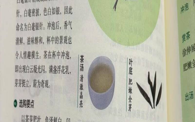 小白毫茶叶的功效和作用,白毫的功效作用与主治 小白毫茶叶的功效和作用,白毫的功效作用与主治