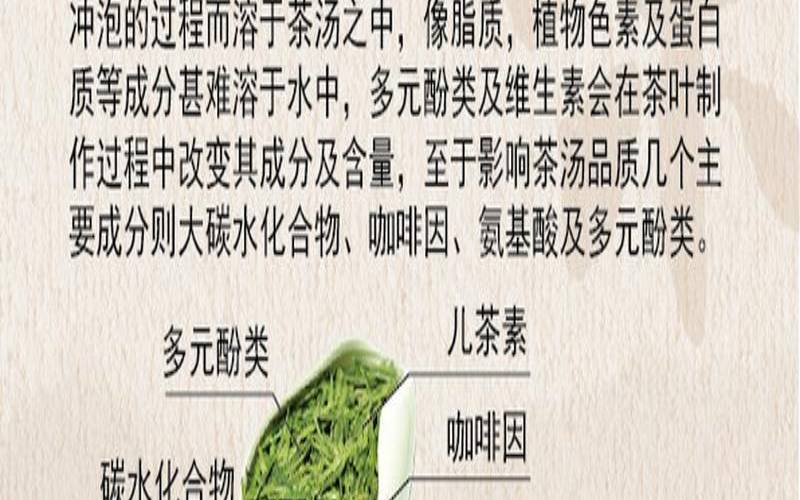 茶叶中氨基酸的主要功效,茶叶的主要功效 茶叶中氨基酸的主要功效,茶叶的主要功效