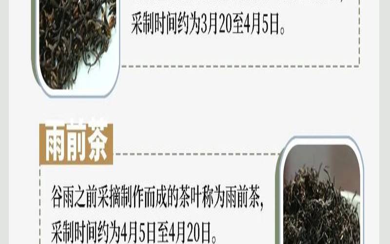 明前茶保存时间,茶叶明前和明后的区别