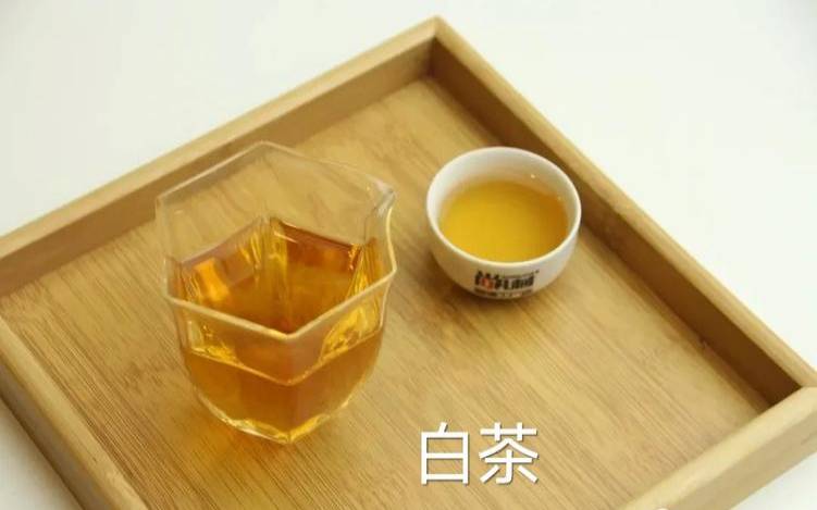 白茶和普洱茶哪个好,白茶与普洱茶的区别 白茶和普洱茶哪个好,白茶与普洱茶的区别