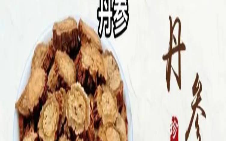 丹参茶叶的功效与作用,女性喝丹参茶有什么好处 丹参茶叶的功效与作用,女性喝丹参茶有什么好处