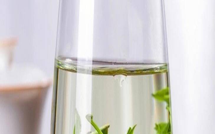 冰糖茶叶水的功效与作用点,枸杞子和绿茶泡水喝的功效 冰糖茶叶水的功效与作用点,枸杞子和绿茶泡水喝的功效