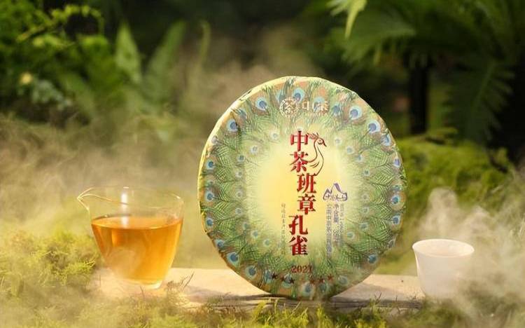 七彩云南普洱茶官网旗舰店,七星孔雀普洱茶报价