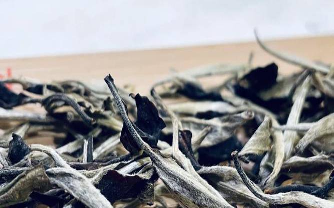 方舟子普洱茶原文,茶叶水当水喝的危害 方舟子普洱茶原文,茶叶水当水喝的危害