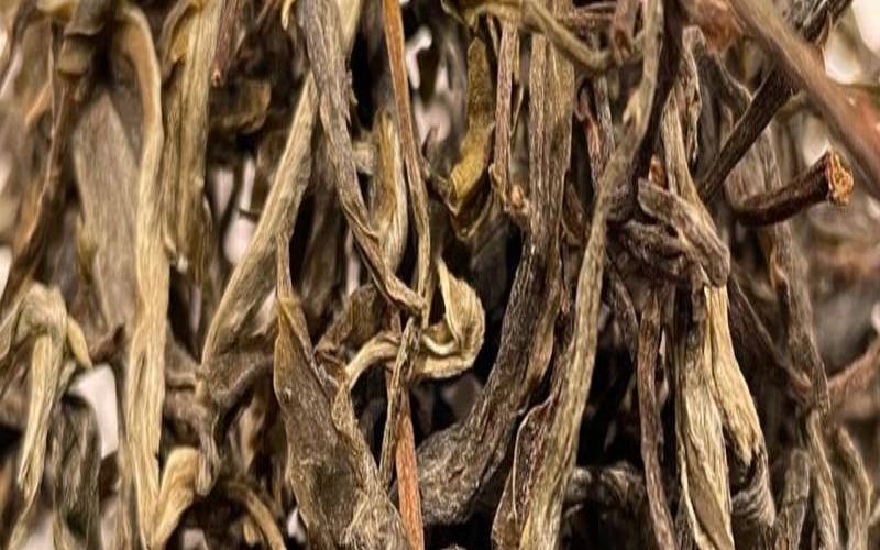 临沧茶叶的主要特点,临沧茶叶特点 临沧茶叶的主要特点,临沧茶叶特点