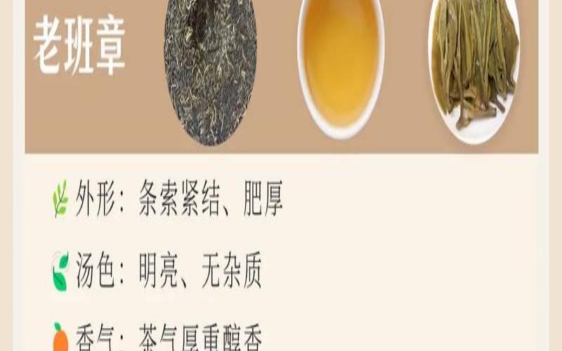 茉莉普洱茶是什么茶,荔枝红茶十大排名 茉莉普洱茶是什么茶,荔枝红茶十大排名