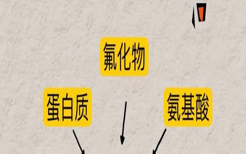 茶叶的营养成分和功效,茶叶有什么营养与功效 茶叶的营养成分和功效,茶叶有什么营养与功效