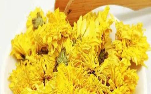 菊花泡茶有什么作用与功效,菊花茶又叫短命茶 菊花泡茶有什么作用与功效,菊花茶又叫短命茶