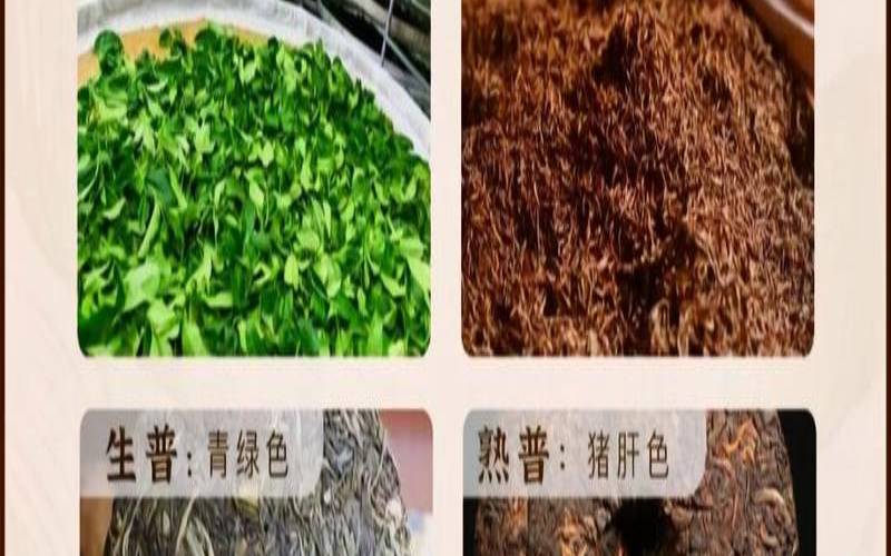 熟普洱茶水颜色,荔枝红茶十大排名