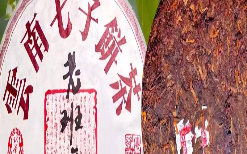 一千多一饼的普洱茶,100元7饼的普洱能喝吗 一千多一饼的普洱茶,100元7饼的普洱能喝吗