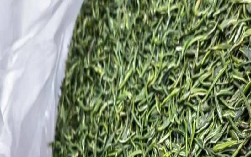 绿茶与普洱茶,普洱加绿茶一起泡会怎么样 绿茶与普洱茶,普洱加绿茶一起泡会怎么样