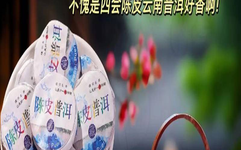 荷叶陈皮普洱茶的功效,普洱茶直接泡水喝可以吗 荷叶陈皮普洱茶的功效,普洱茶直接泡水喝可以吗