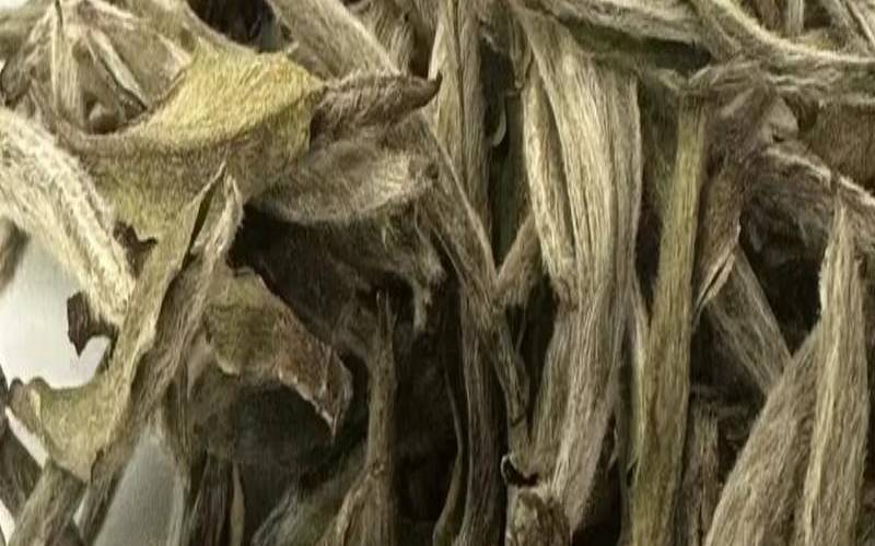 半塔银针茶叶价格,白毫银针怎么存放