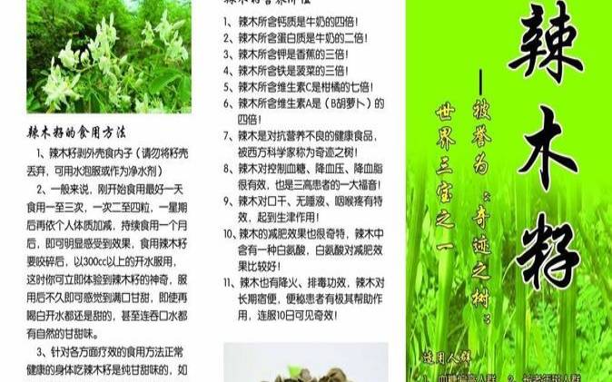 辣木普洱茶可以减肥吗女性,辣木籽的功效 辣木普洱茶可以减肥吗女性,辣木籽的功效