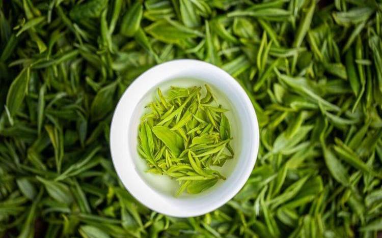 内江最好的茶叶排名第一是,茶叶收藏排名 内江最好的茶叶排名第一是,茶叶收藏排名
