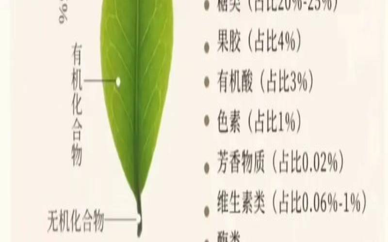 普洱茶的功效与禁忌有哪些,喝普洱茶有什么好处