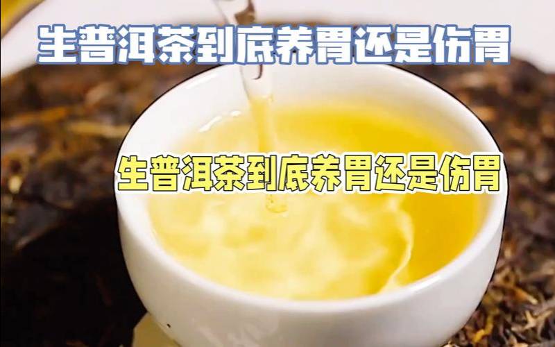 开古普洱茶养胃吗,红茶和普洱茶哪个养胃 开古普洱茶养胃吗,红茶和普洱茶哪个养胃