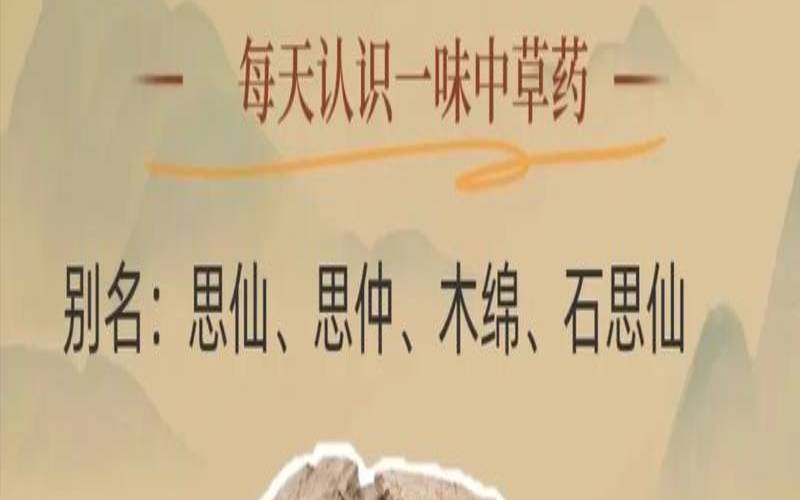 普洱茶对中药有减轻药效么,中草药杜仲有什么作用