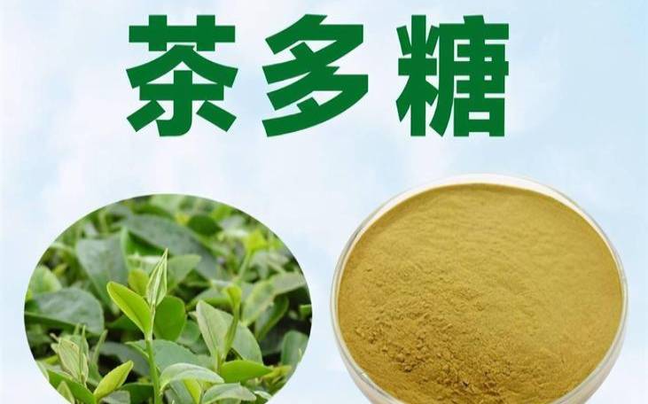 茶叶中糖类物质的作用是,茶叶中氨基酸的好处 茶叶中糖类物质的作用是,茶叶中氨基酸的好处