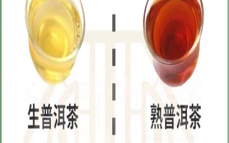 普洱茶熟普喝了有什么功效,什么普洱茶入口就甜 普洱茶熟普喝了有什么功效,什么普洱茶入口就甜