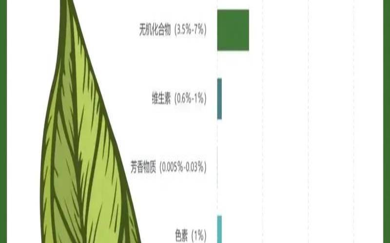 茶叶中维生素的保健功效,茶叶维生素含量高吗