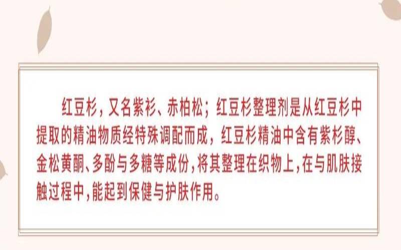 茶叶花泡水喝的功效,红豆杉的功效与作用 茶叶花泡水喝的功效,红豆杉的功效与作用