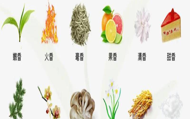 茶叶的高级叫法,好的茶叶名称 茶叶的高级叫法,好的茶叶名称
