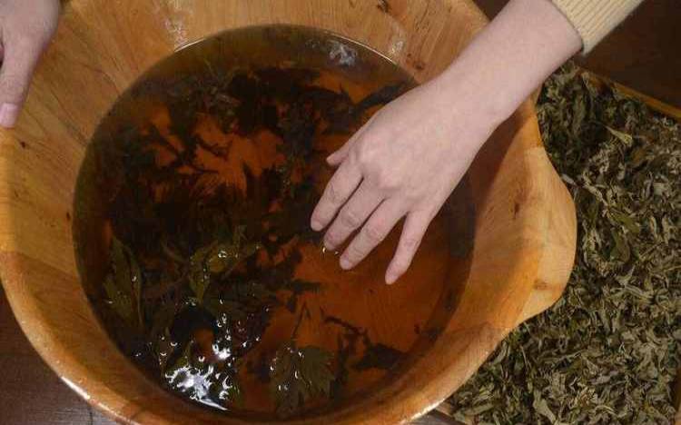 艾草和茶叶煮水的功效,女人喝艾叶水的功效