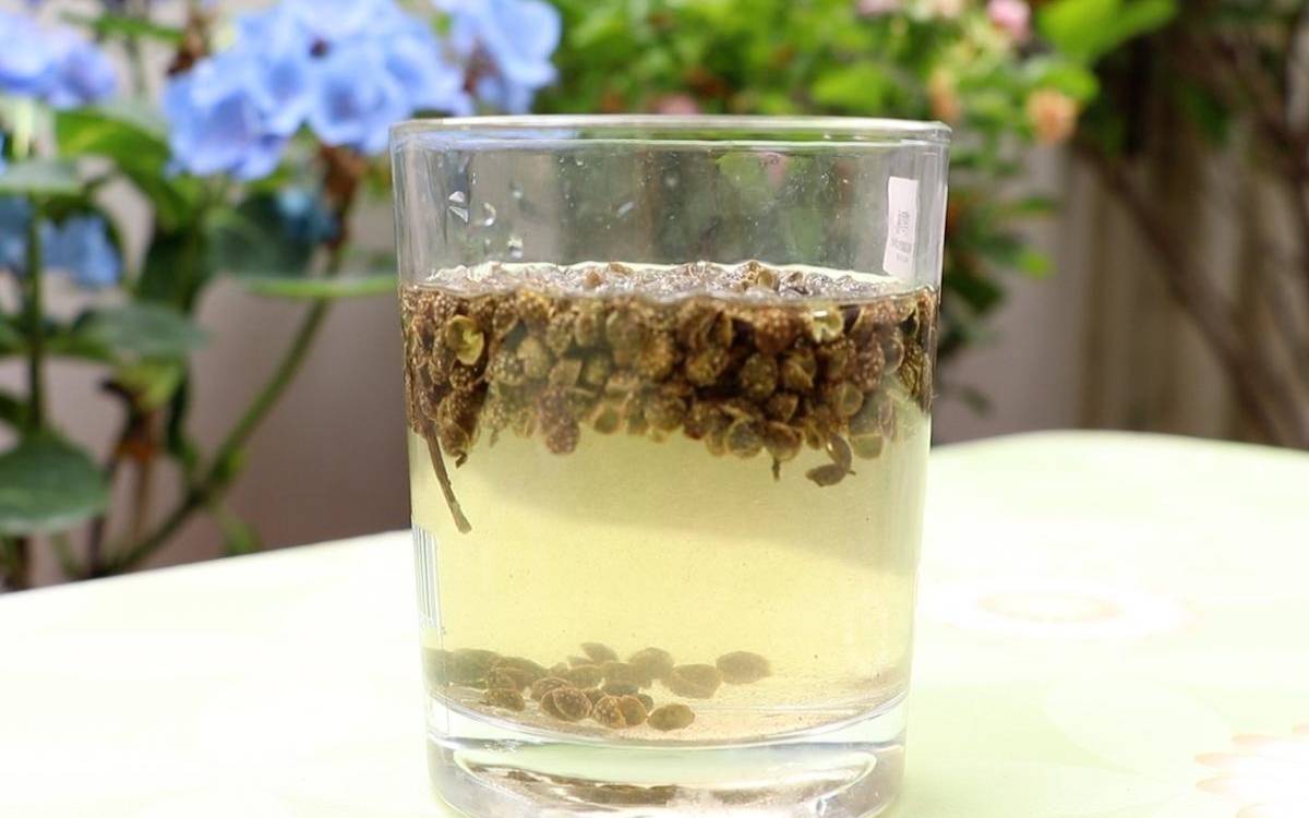 茶叶和花椒泡水的功效,花椒泡白酒的偏方 茶叶和花椒泡水的功效,花椒泡白酒的偏方