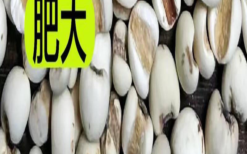 芡实薏仁米红豆粥的功效,芡实薏米红豆 芡实薏仁米红豆粥的功效,芡实薏米红豆