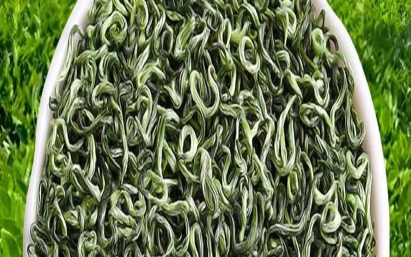 黑毛尖茶图片,毛尖是红茶还是绿茶 黑毛尖茶图片,毛尖是红茶还是绿茶