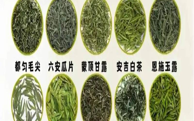 绿茶的种类主分为四类,常见的绿茶有哪几种 绿茶的种类主分为四类,常见的绿茶有哪几种