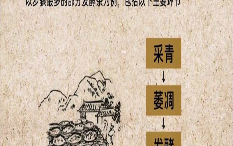 茶叶制作的主要工序有哪些,制作茶叶的步骤图片 茶叶制作的主要工序有哪些,制作茶叶的步骤图片