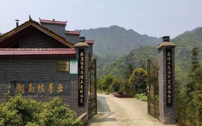 湖南安化茶厂一共有哪些,安化最大的黑茶企业 湖南安化茶厂一共有哪些,安化最大的黑茶企业