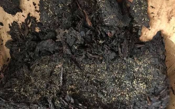 普洱茶发霉了还能喝吗,怎么喝普洱茶饼 普洱茶发霉了还能喝吗,怎么喝普洱茶饼