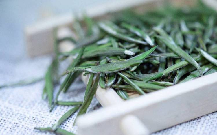 遵义茶叶产业,10亩茶叶利润有多少