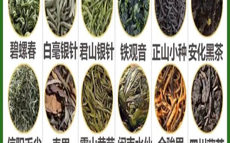云南著名茶叶五大种类,怎么分辨茶叶的种类