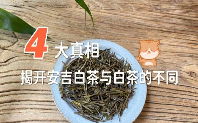 茶叶保存多久口感最好呢,茶叶越放越久越好吗 茶叶保存多久口感最好呢,茶叶越放越久越好吗