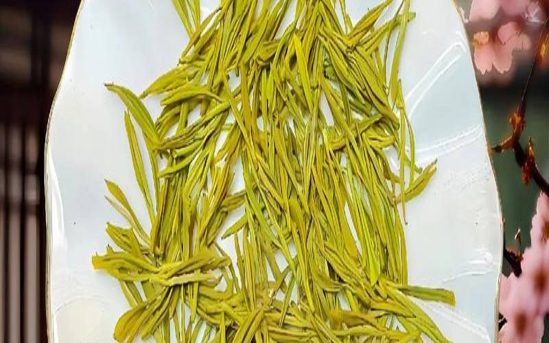 黄金叶茶叶是什么茶,黄金芽茶属于什么茶 黄金叶茶叶是什么茶,黄金芽茶属于什么茶
